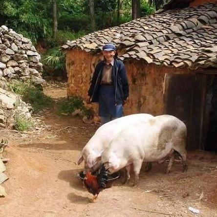 (赚钱小游戏养机)小游戏爱好者必知：掌握最快速的养机方法